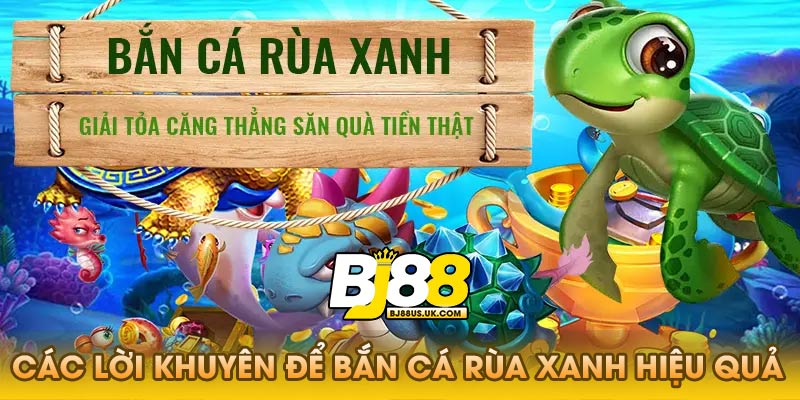 Các lời khuyên để bắn cá rùa xanh hiệu quả