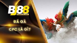 đá gà cpc