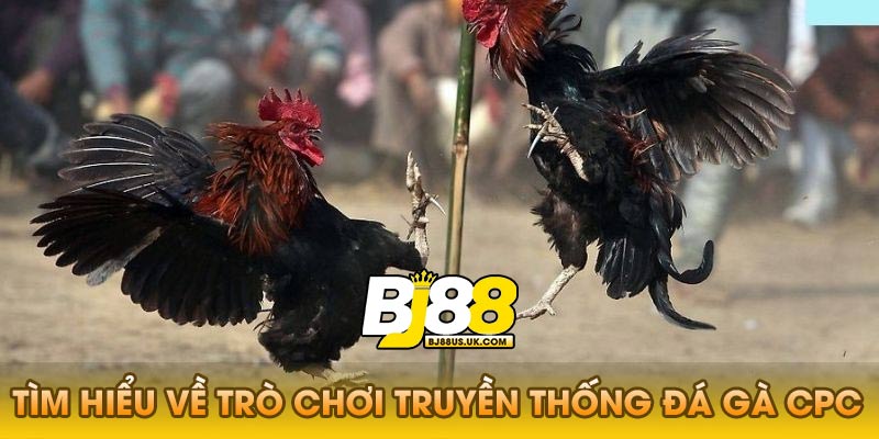 Đá gà CPC là gì