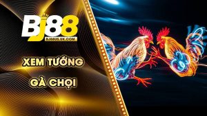 Xem Tướng Gà Chọi